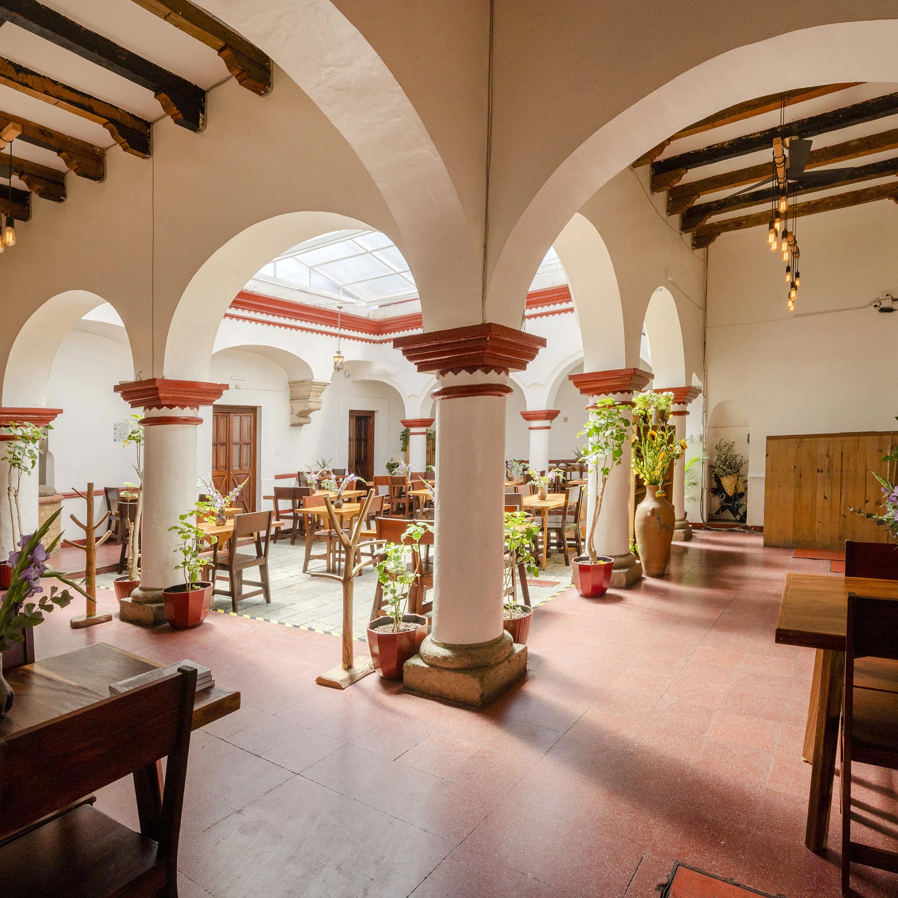José Galicia / Levadura de Olla Restaurante